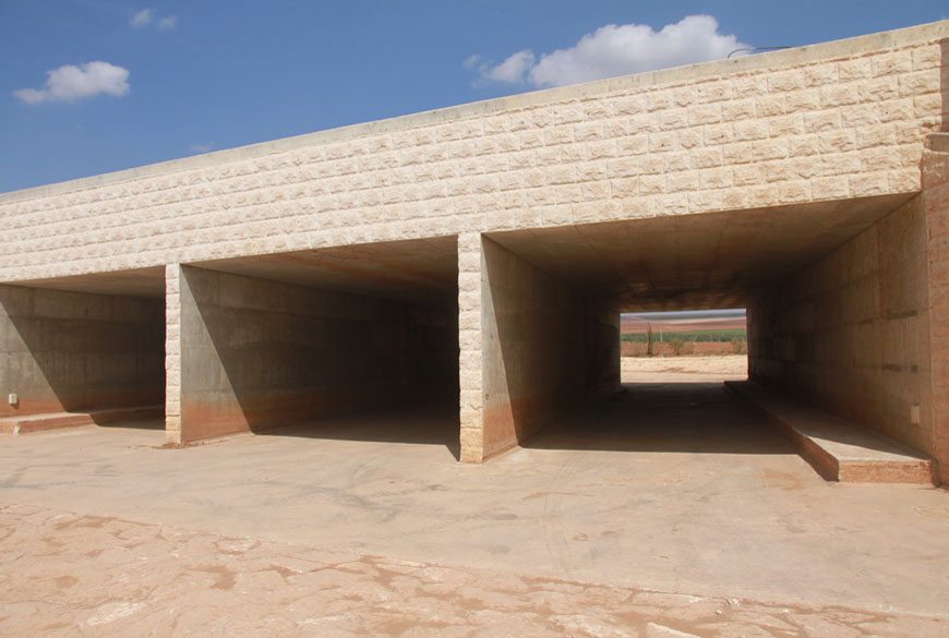 המעברים תחת המסילה מנקזים מים וגם משמשים מעין מדרכה לבעלי חיים יבשתיים-צילום אורלי גנוסר