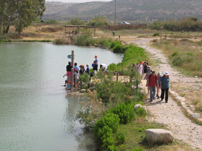 שמורת טבע נחל תנינים