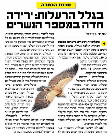 נשרים