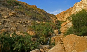 שמורת טבע עין גדי