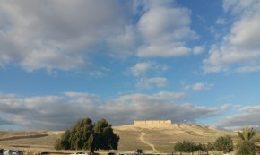 גן לאומי תל ערד