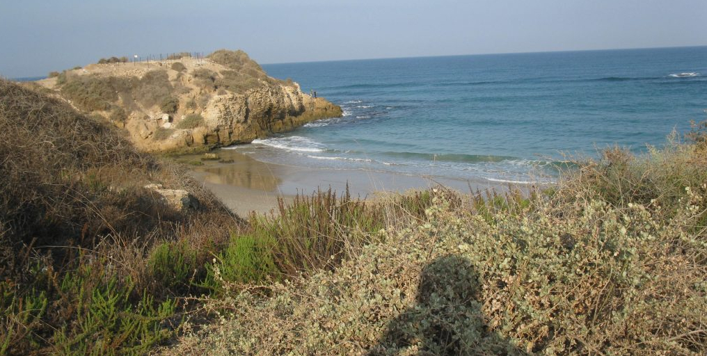 שמורת טבע חולות יבנה