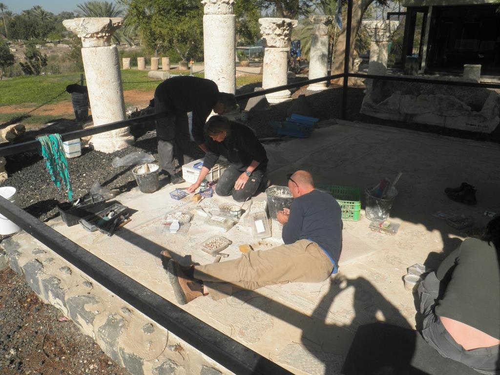 שימור ושחזור הפסיפס בחצר המוזיאון לארכיאולוגיה בגן השלושה