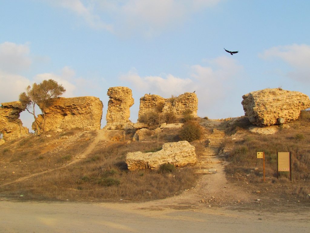 שרידים מהחומה שמקיפה את הגן הלאומי אשקלון