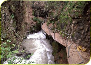 שמורת טבע נחל חרמון-הבניאס – מתחם המעיינות