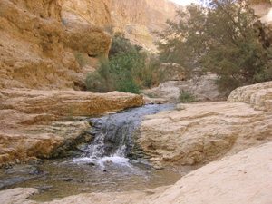 עין בוקק – שמורת טבע מדבר יהודה