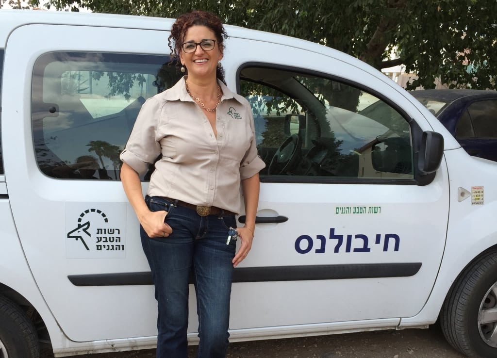 חיבולנס- אילנה דקל.jpg