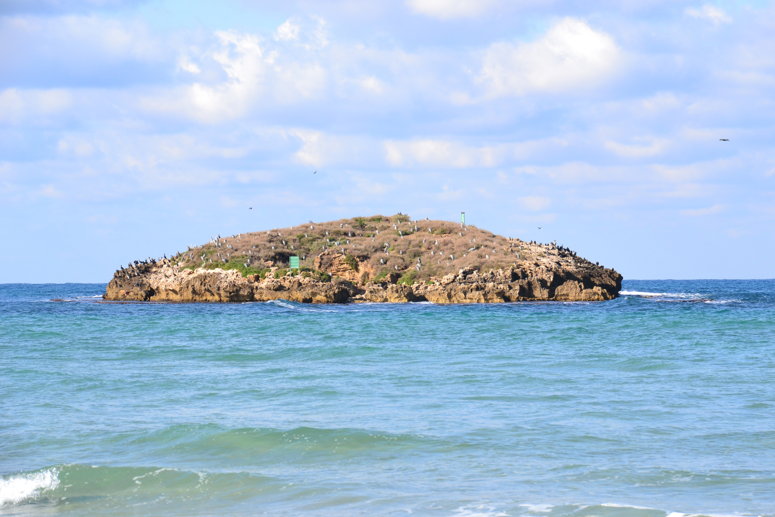 שמורת איי דור–מעגן מיכאל