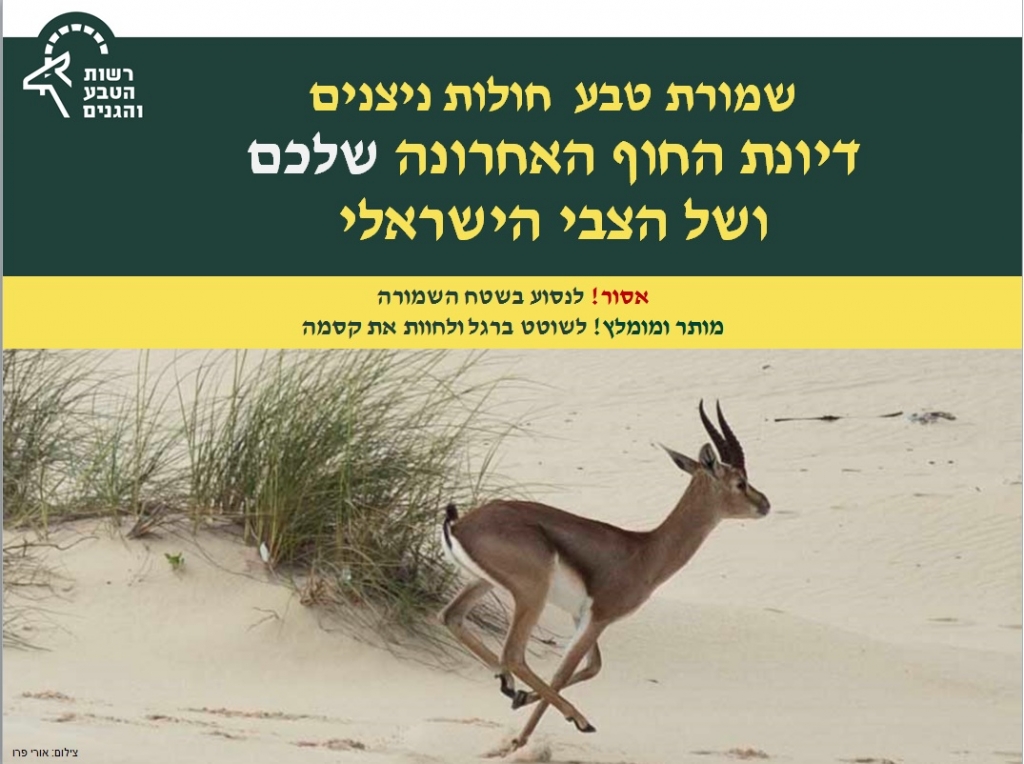 הסברה ניצנים.jpg