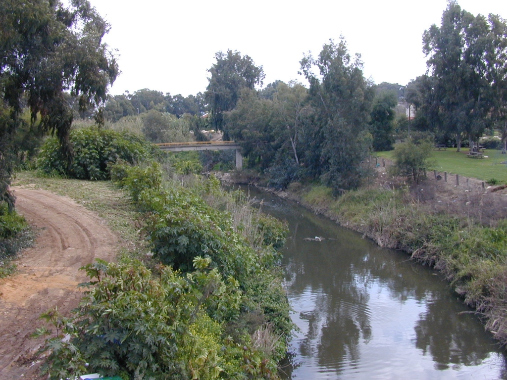 אלכסנדר 1חורף 2001.jpg