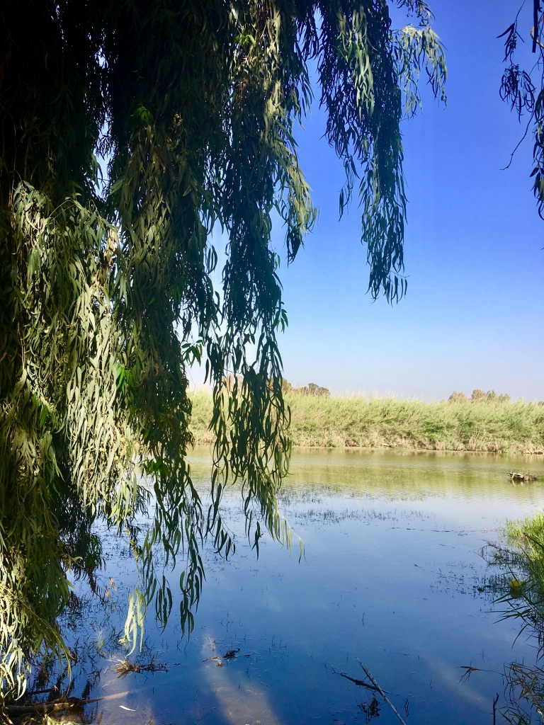 שער פולג 1. צילום יעל לרנר.JPG