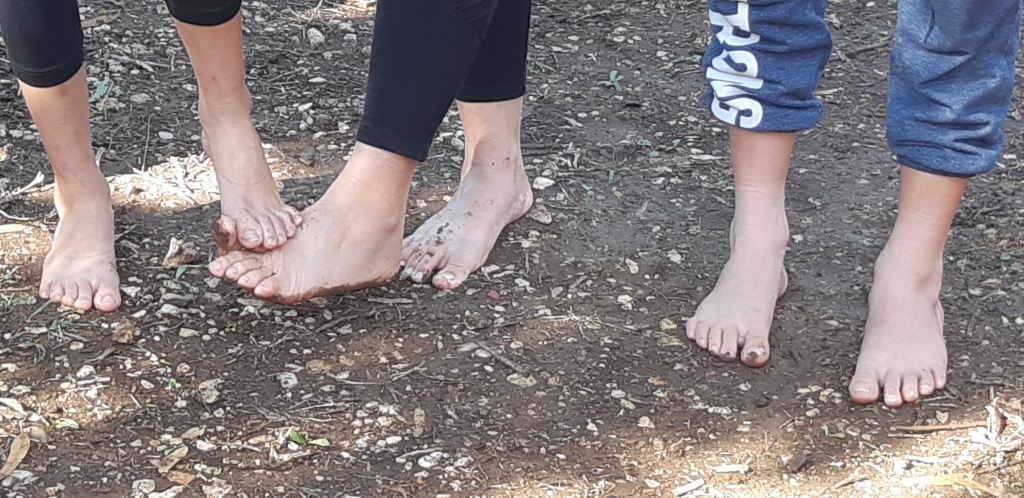 משפחות ברגליים יחפות