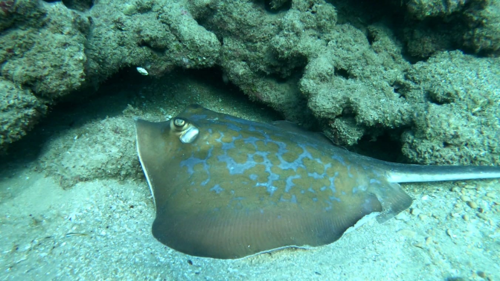 5d82025aa1ece