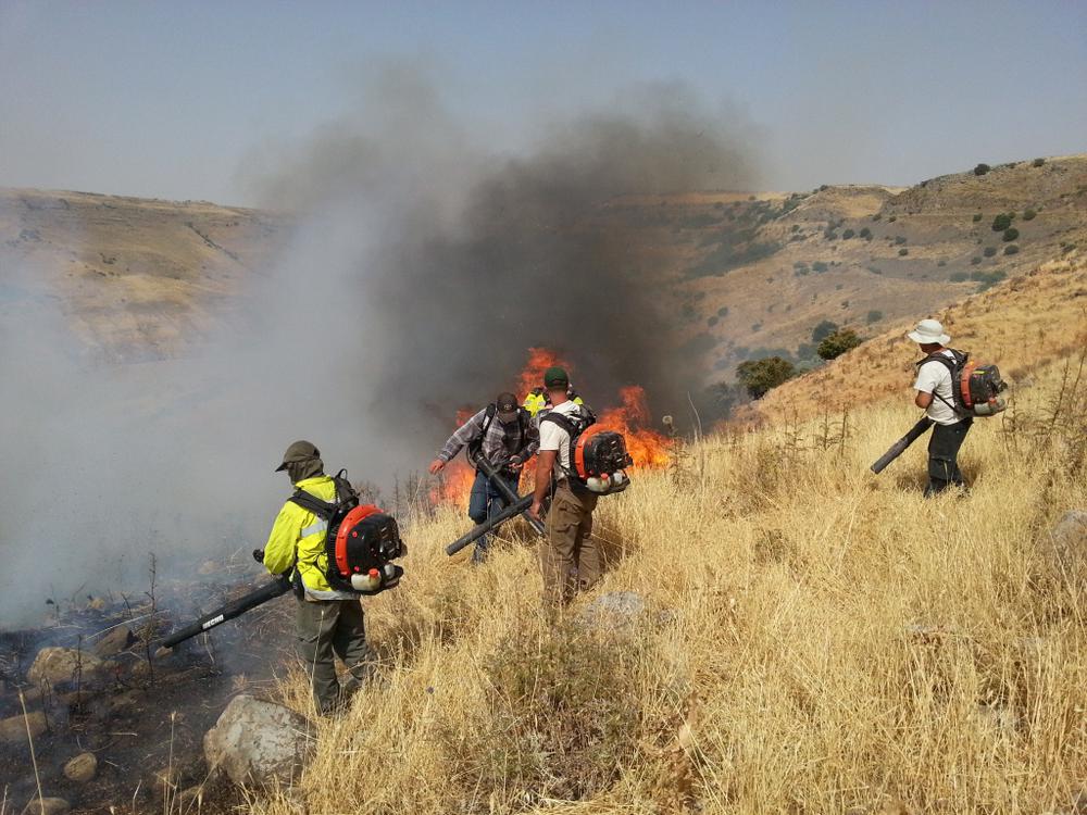 םקחים מכבים שריפה בשמורת טבע גמלא- עידו שקד רטג