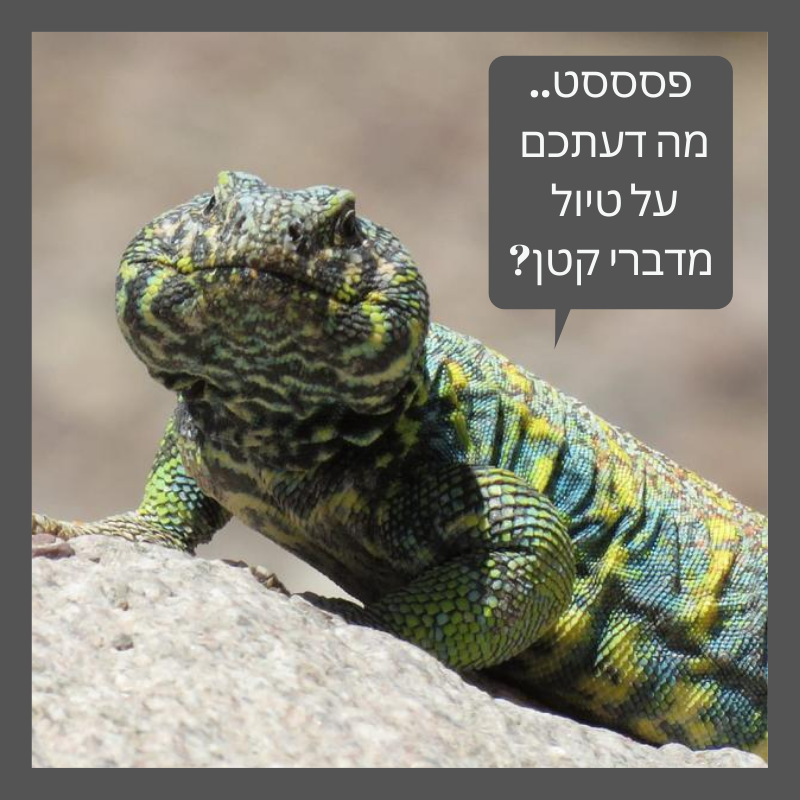 1-עומרי עומסי
