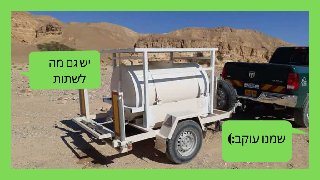 גיל עברון-5