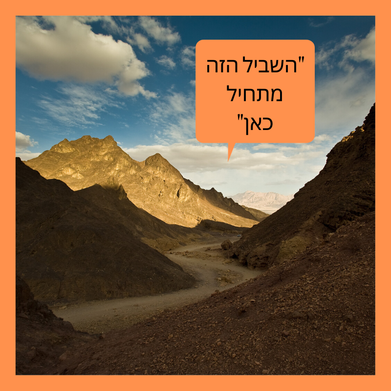 דורון ניסים-8
