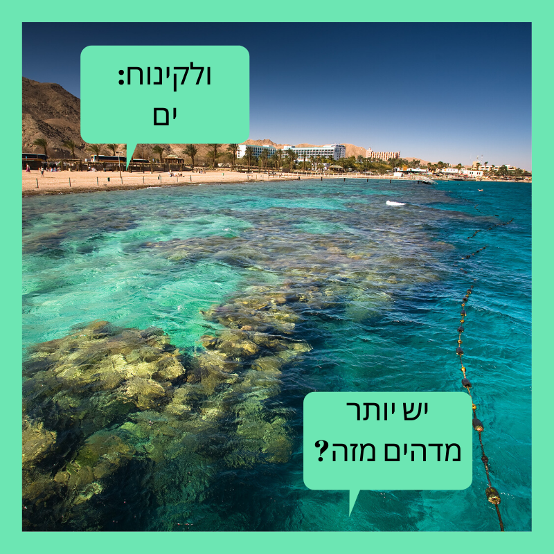 דורון ניסים-9