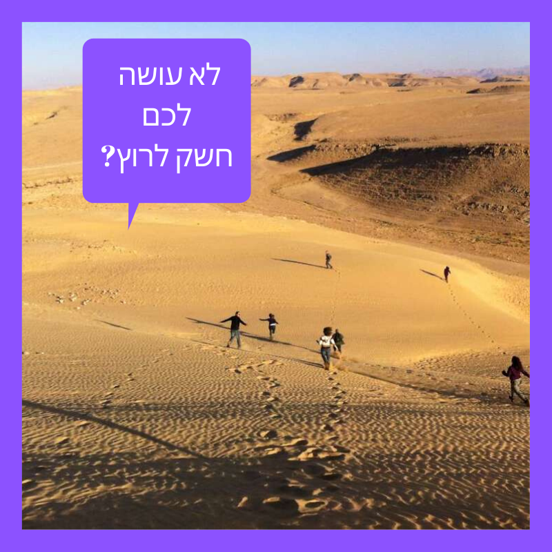 תום עמית-7