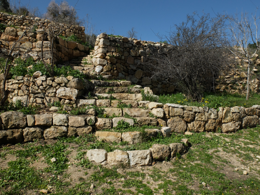 עיינות תלם - אייל שפירא