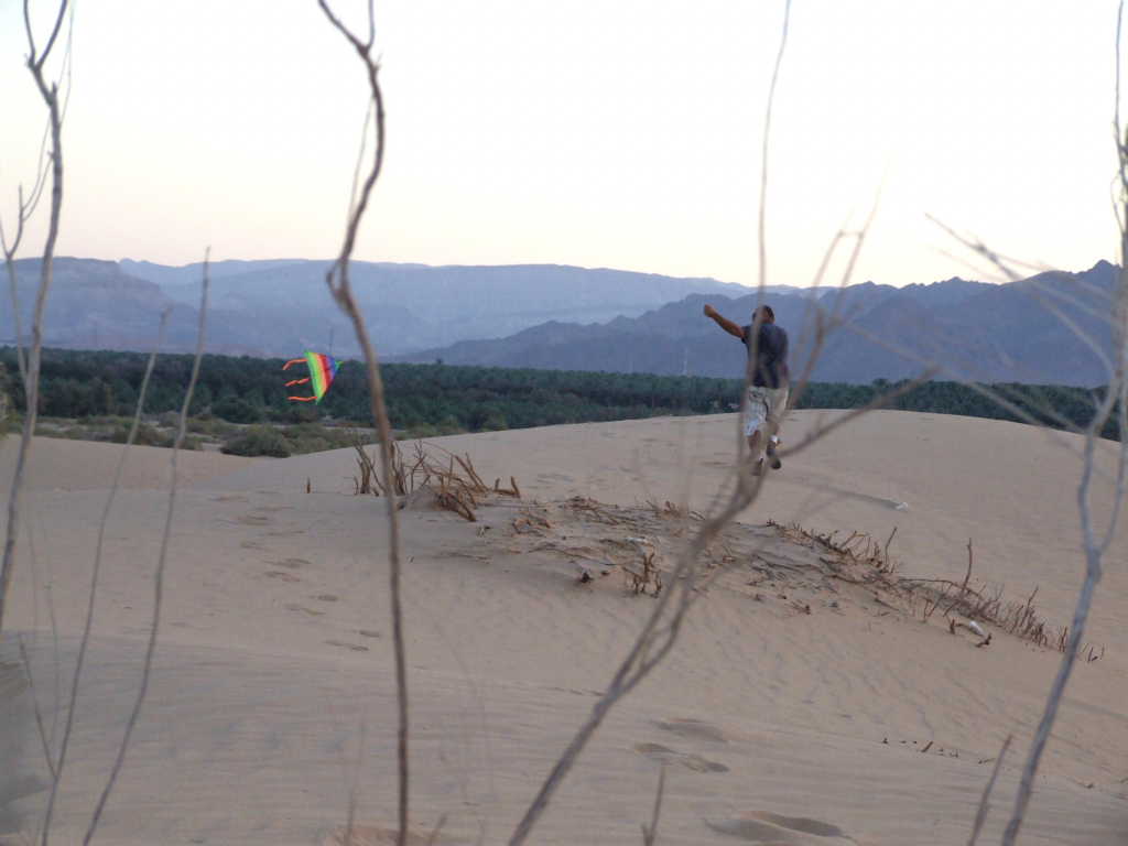 Samar 2013 8
