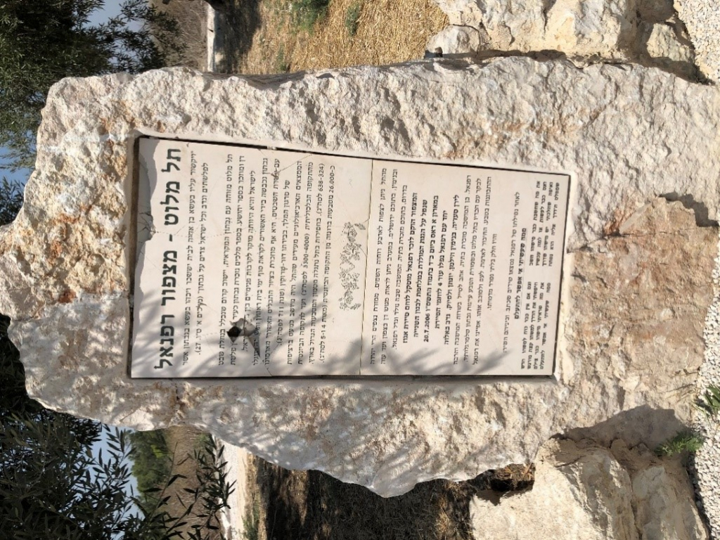 תל מלוט