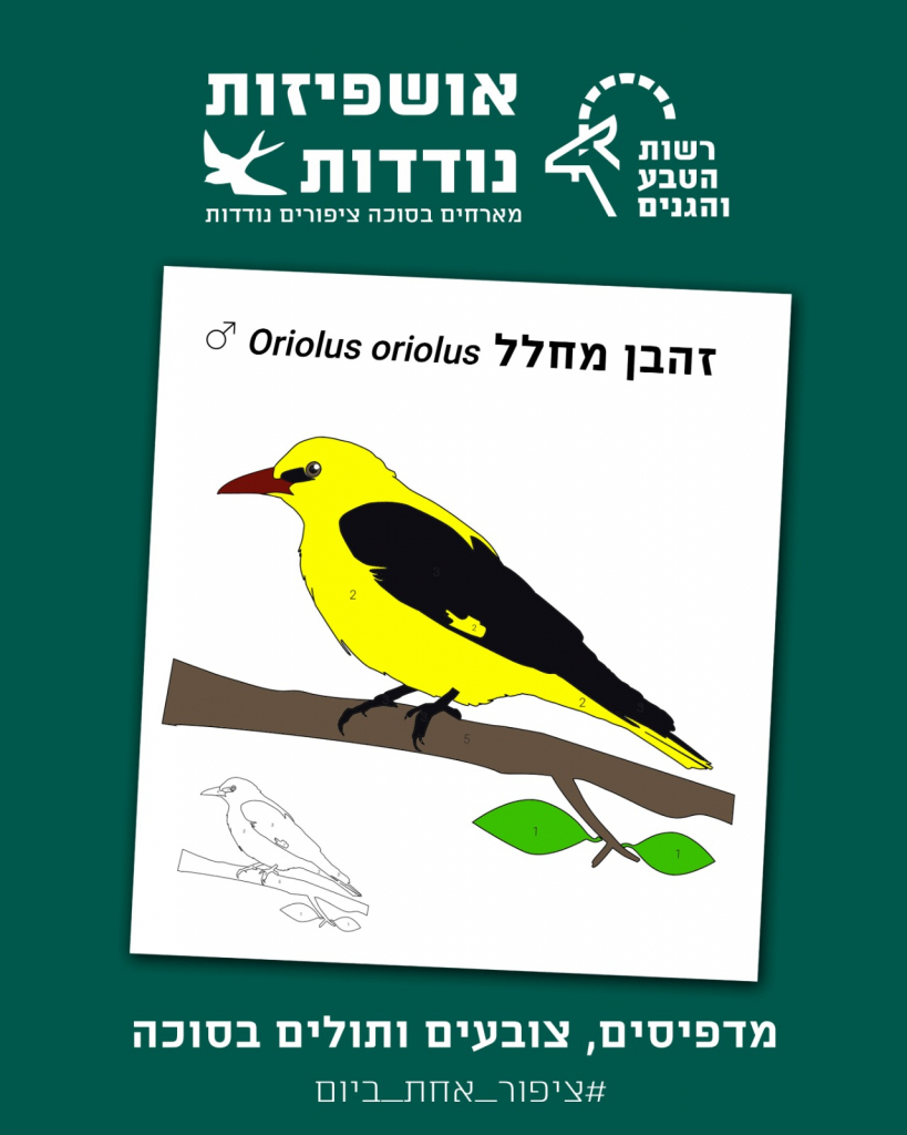 אושפיזין - זהבן מחלל