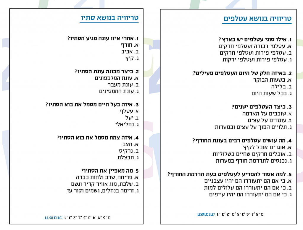 טריוויה סתיו ועטלפים