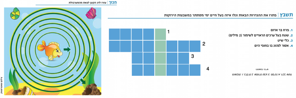 מבוך ים
