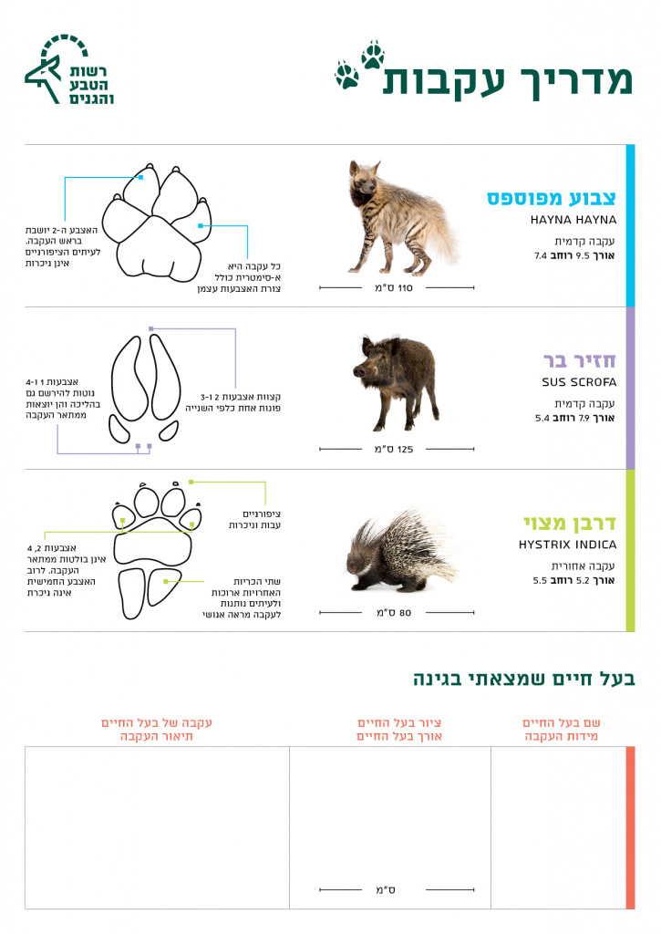 מדריך-עקבות