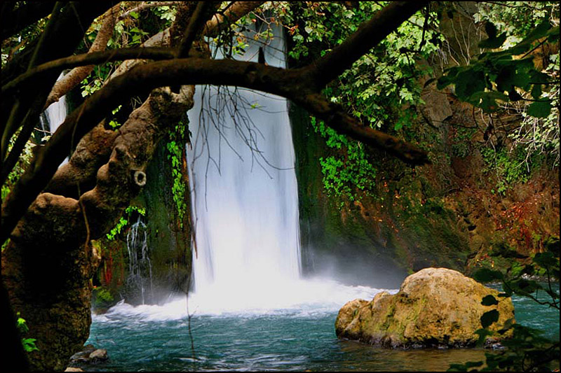 שמורת טבע נחל חרמון-הבניאס – מתחם המפל והשביל התלוי