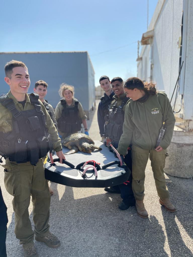 חיל הים