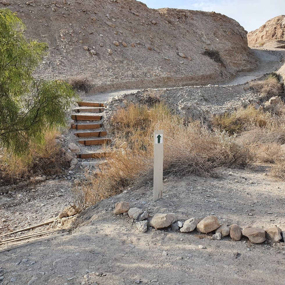 שביל+המגילות+בקומראן+-+אביתר+הכהן,+רשות+הטבע+והגנים+(4)