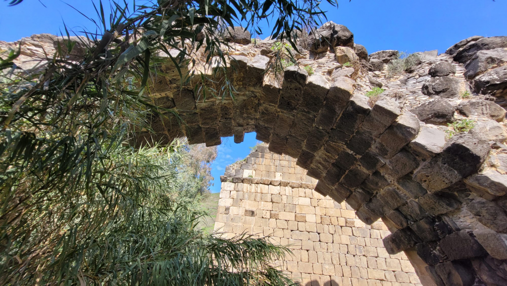 נחל חרוד. צילום: רחל אשכול נחל חרוד. צילום: רחל אשכול