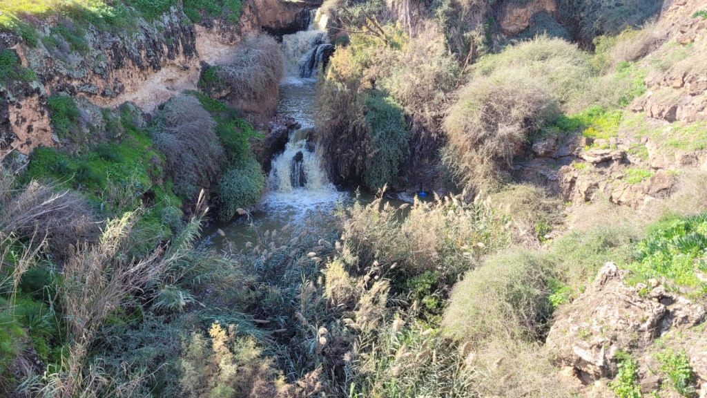 נחל חרוד. צילום: רחל אשכול נחל חרוד. צילום: רחל אשכול