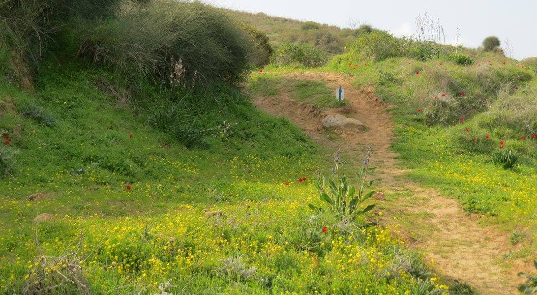 שמורת טבע חורבת ג’ממה