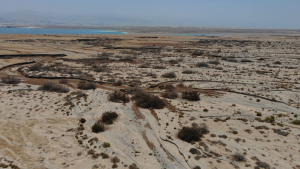 דליפה מתעלת ההזנה של מפעלי ים המלח למניפת נחל צאלים