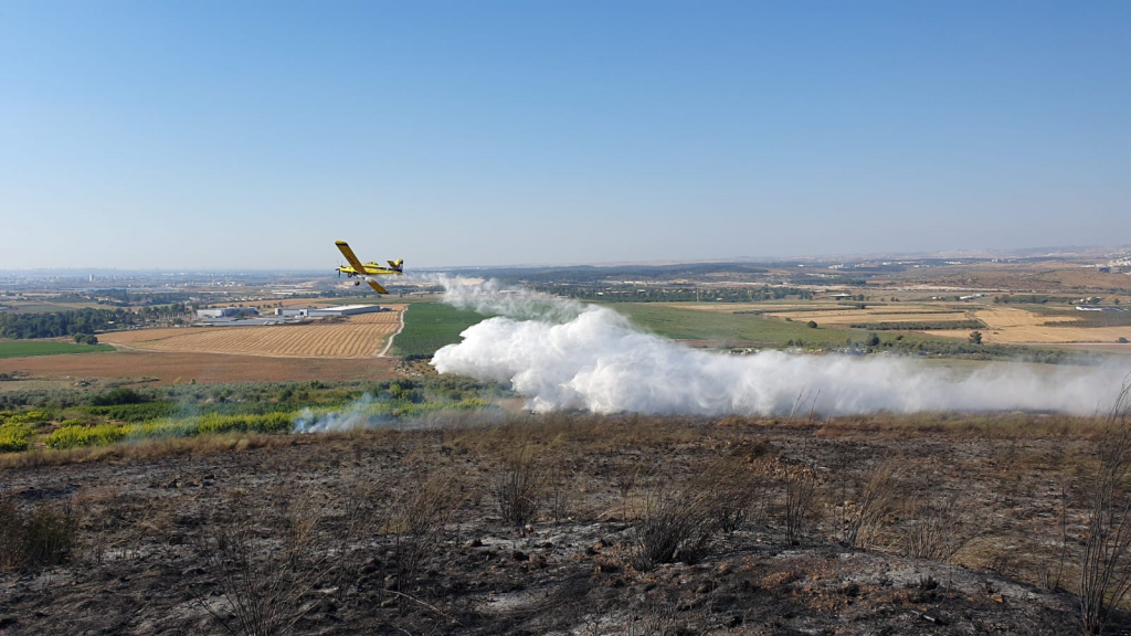שריפה בגן לאומי תל גזר. רועי שטראוס, רשות הטבע והגנים