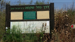 דרך נחל שקמה גשר שחר. צילום רחל עברון (Small)