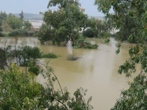 מאגר שקמה. צילום שירה בלוך (Small)