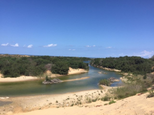 נחל שקמה. צילום דליה דותן (Small)
