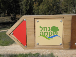 שילוט בשביל שקמה. צילום הדס עברון