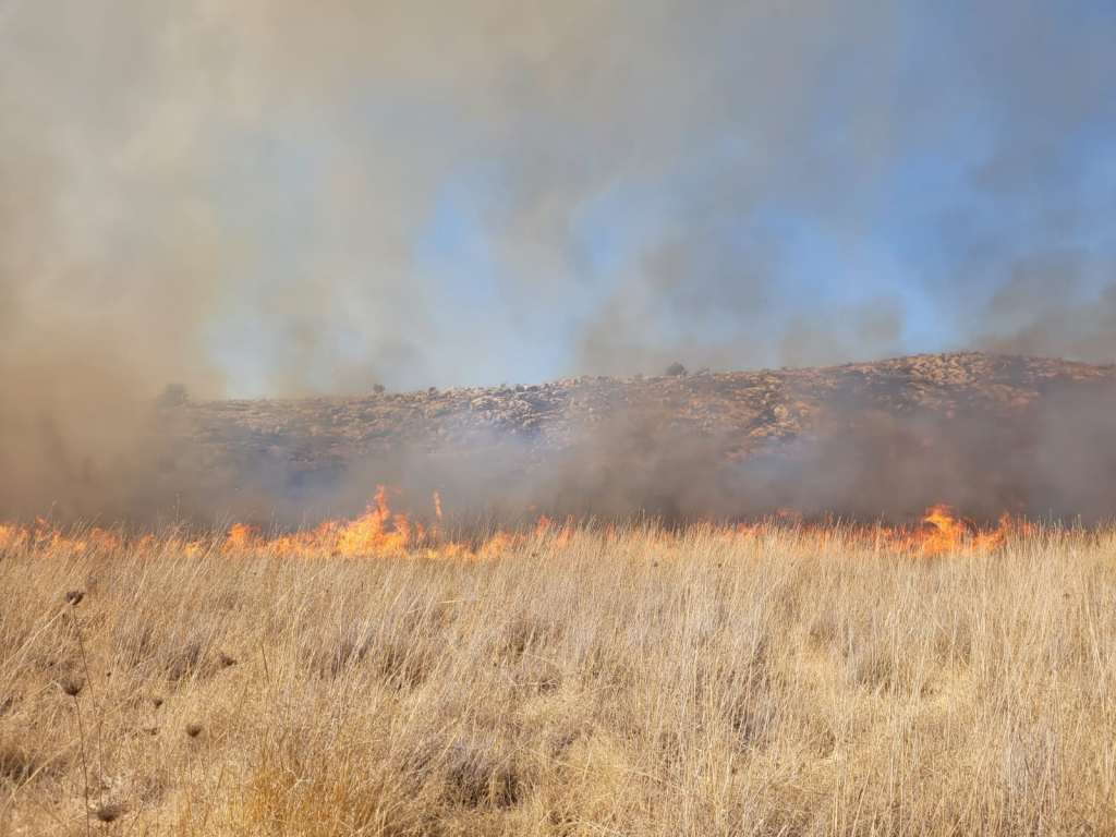 שריפה בשמורת הדום שומרון. צילום: ברוך תמם, רשות הטבע והגנים