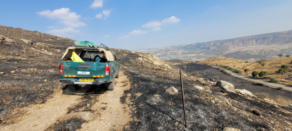 השריפה בסוסיתא. צילום:ג'ורג'י, רשות הטבע והגנים