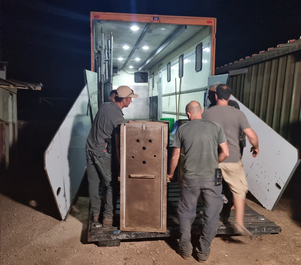 איתי בלי קרדיט (2)