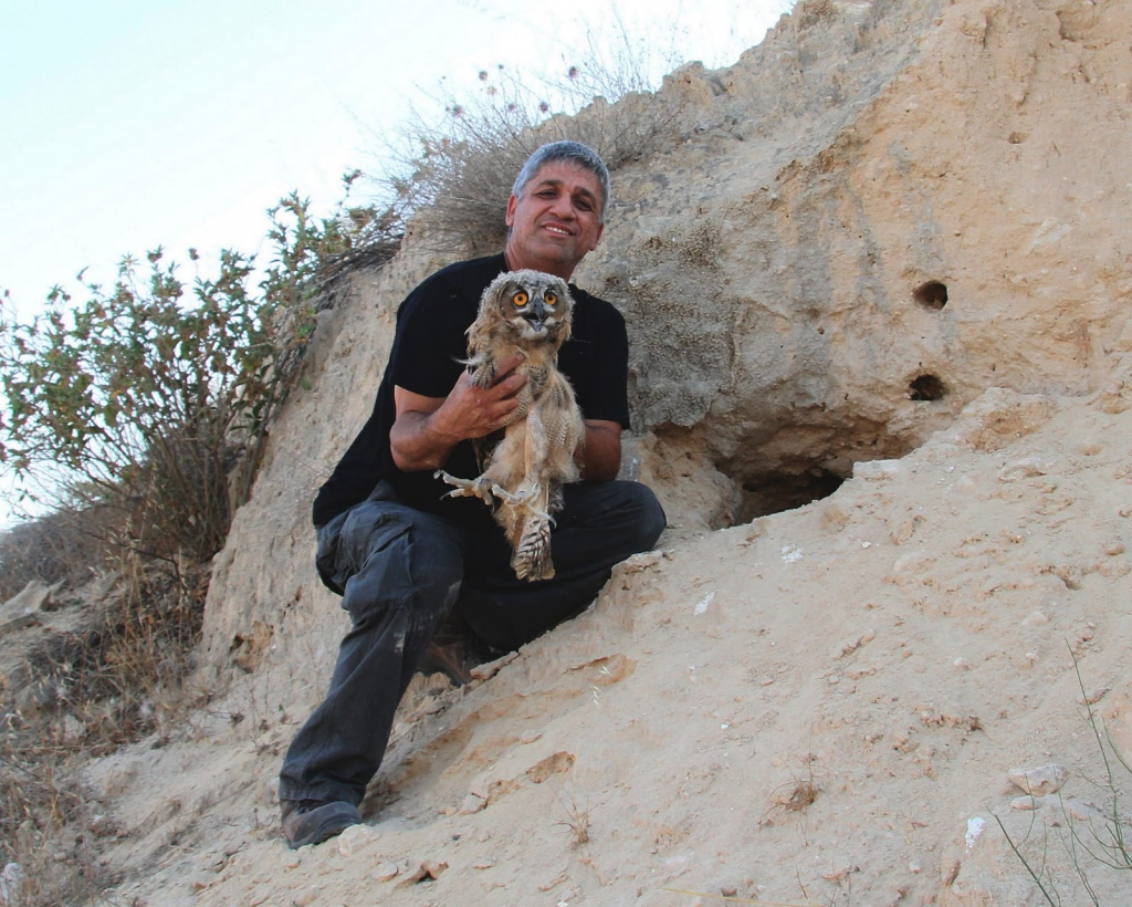 השבה לטבע פרחוני אוח עיטי. צילום עזרא חדד (7)