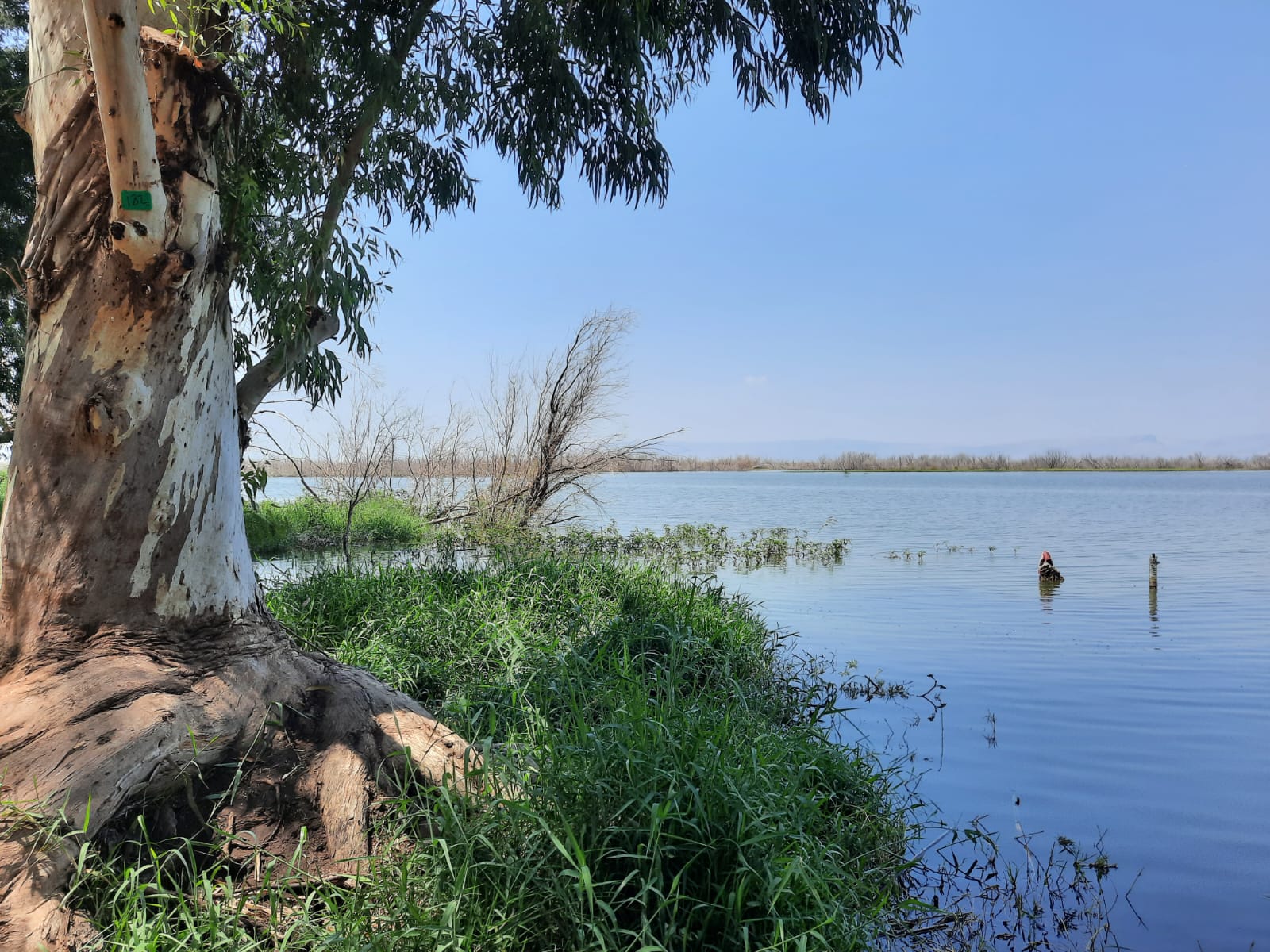 שמורה ימית הבטיחה- עולם קסום של מים מתוקים