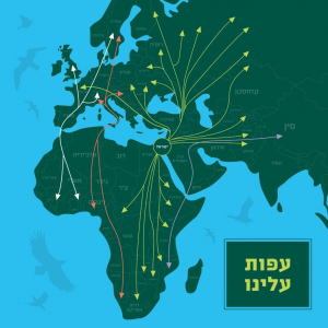 מפת נדידה