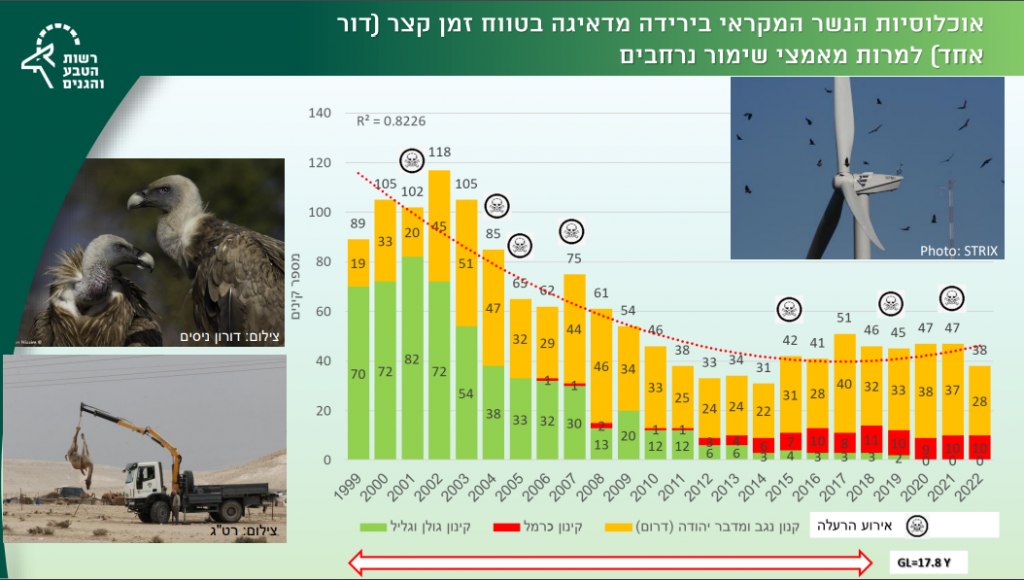 אוכלוסיית הנשר המקראי בירידה מדאיגה