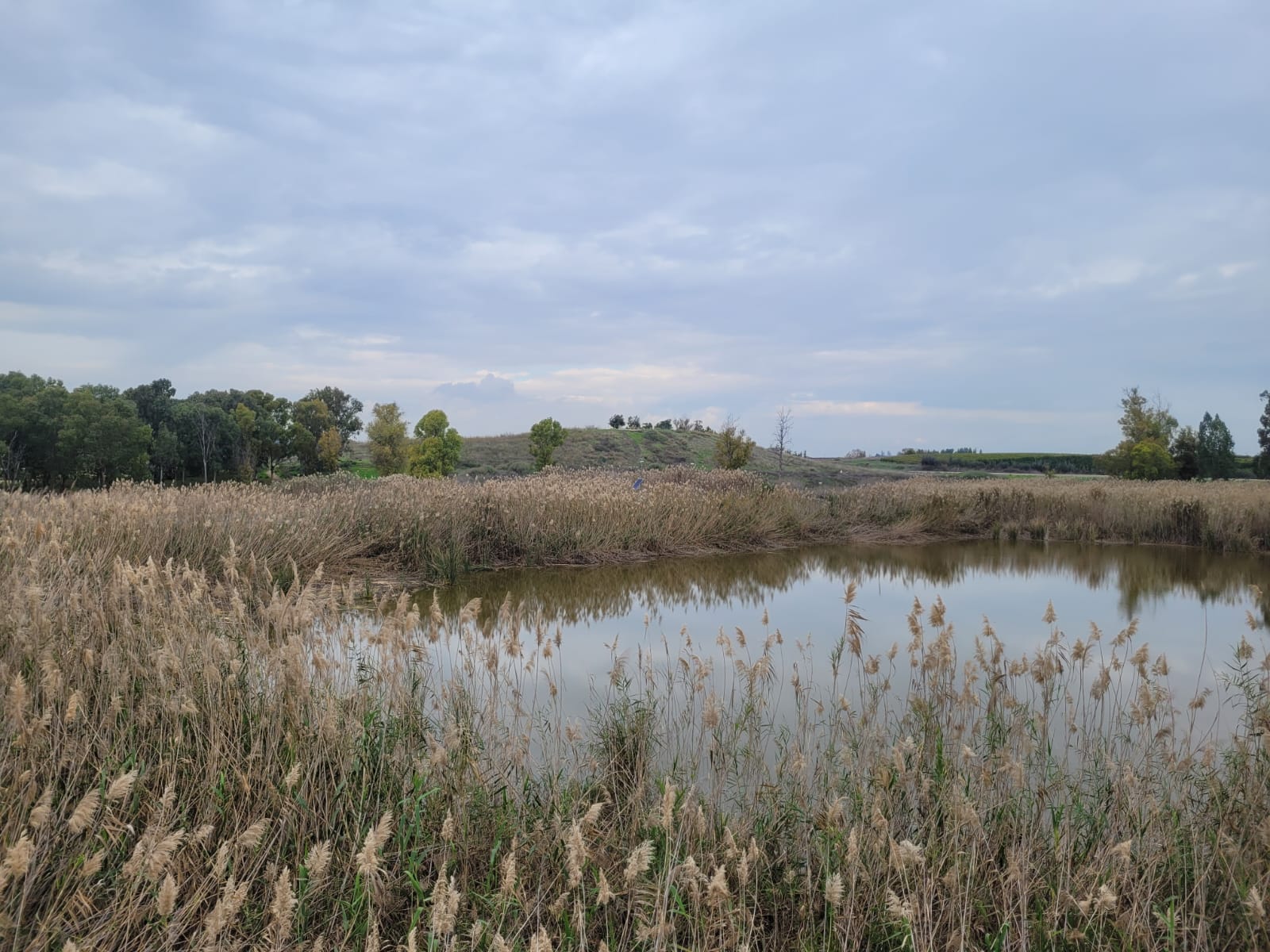 שמורת טבע מעיינות גיבתון